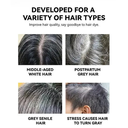 Temporary Hair Color Temporary Touch-Up Dye Pen Waterproof Temporary Gray Concealer Cover Up Brush For Hair And Beard
