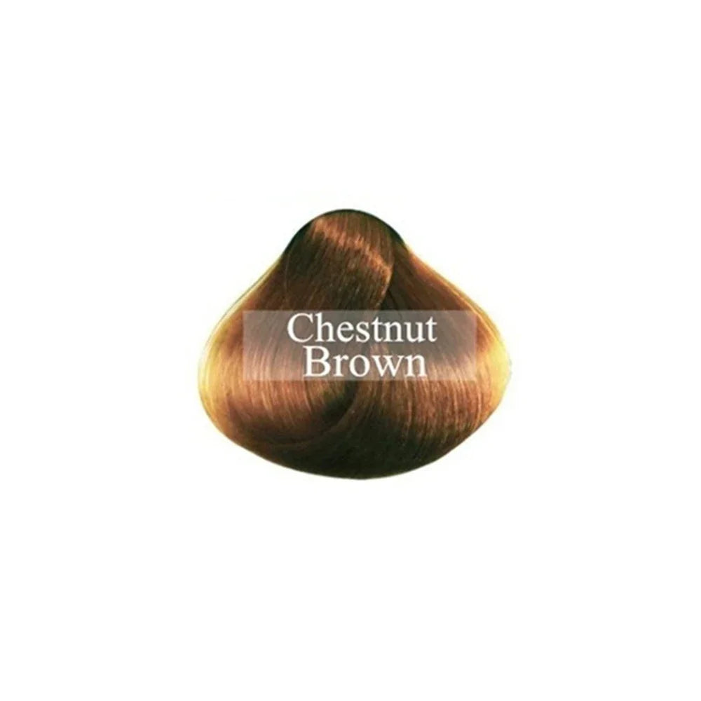 Hair Color Natural Instant Hair Dye Hair Shampoo White Grey Cover Up Long Lasting Ginger Extracts Styling Tools Ginger Shampoo