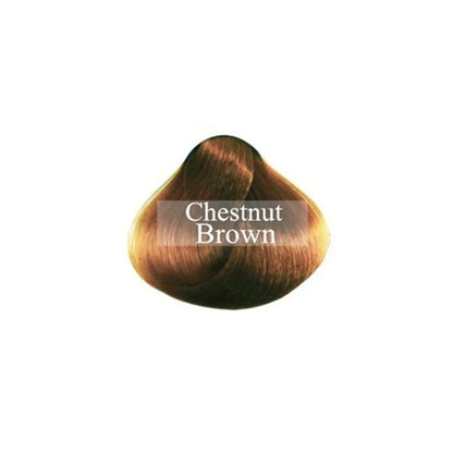 Hair Color Natural Instant Hair Dye Hair Shampoo White Grey Cover Up Long Lasting Ginger Extracts Styling Tools Ginger Shampoo